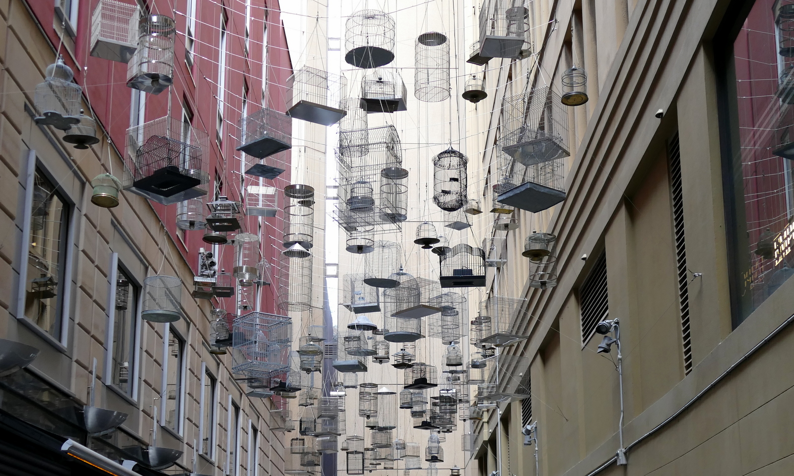 This 'Forgotten Songs' art display commemorates the songs of fifty birds once heard in central Sydney, before they were gradually forced out by European settlement.