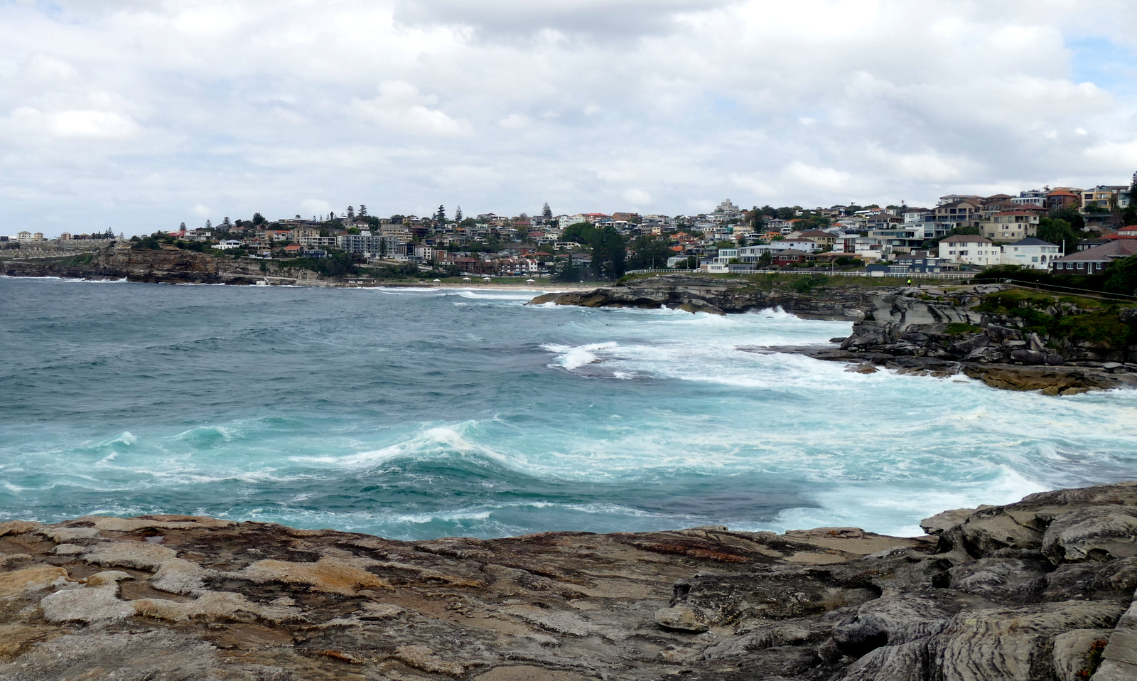 Tuesday June scheduled a wine trip to Hunter Valley, so I walked about 3 kms South to Bronte Beach.