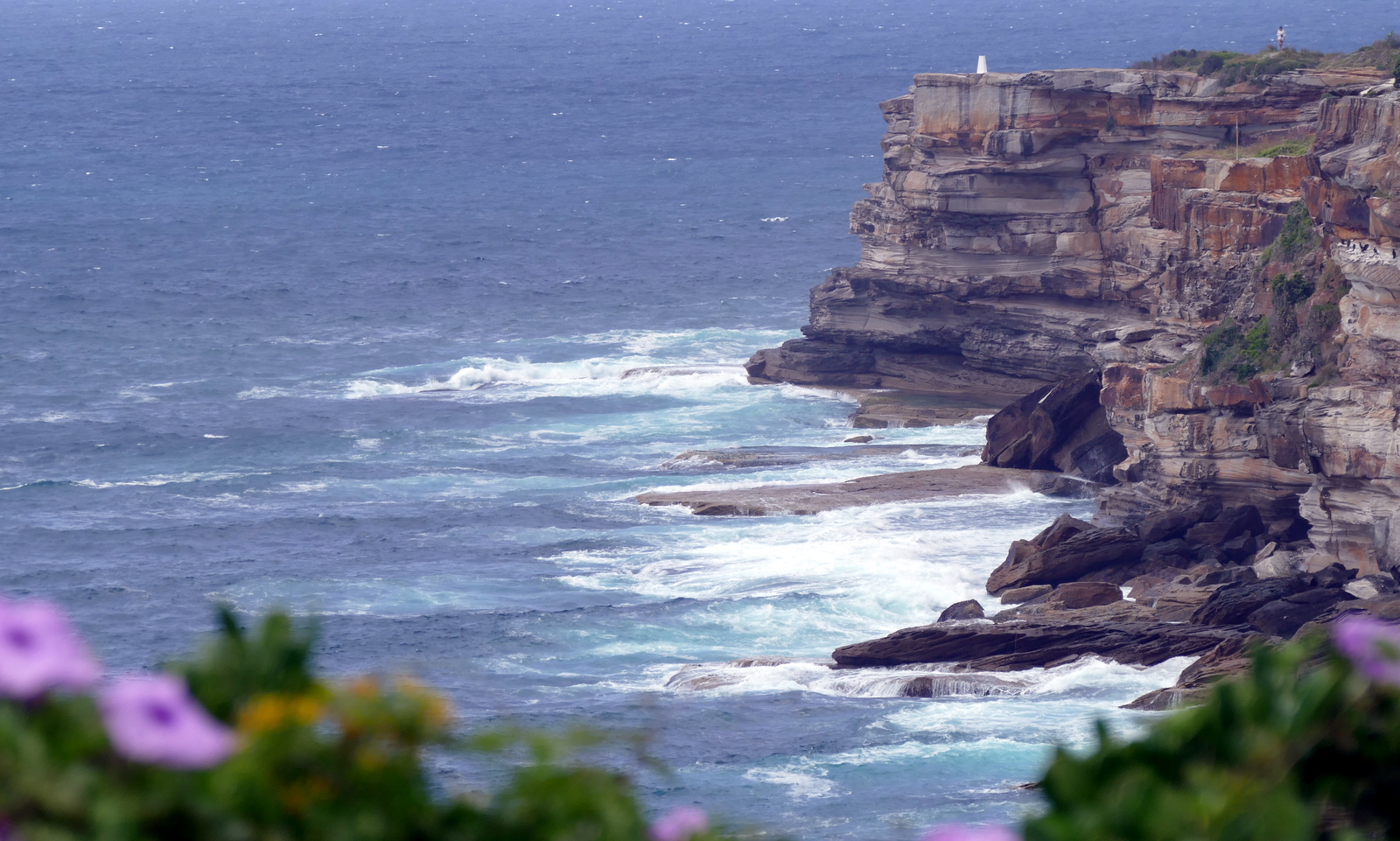 Close to Coogee beach