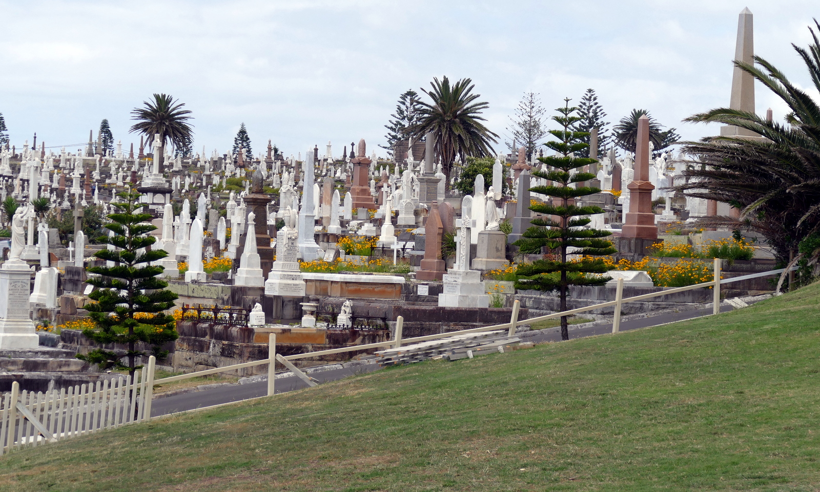 Waverly Cemetery where I turned around.