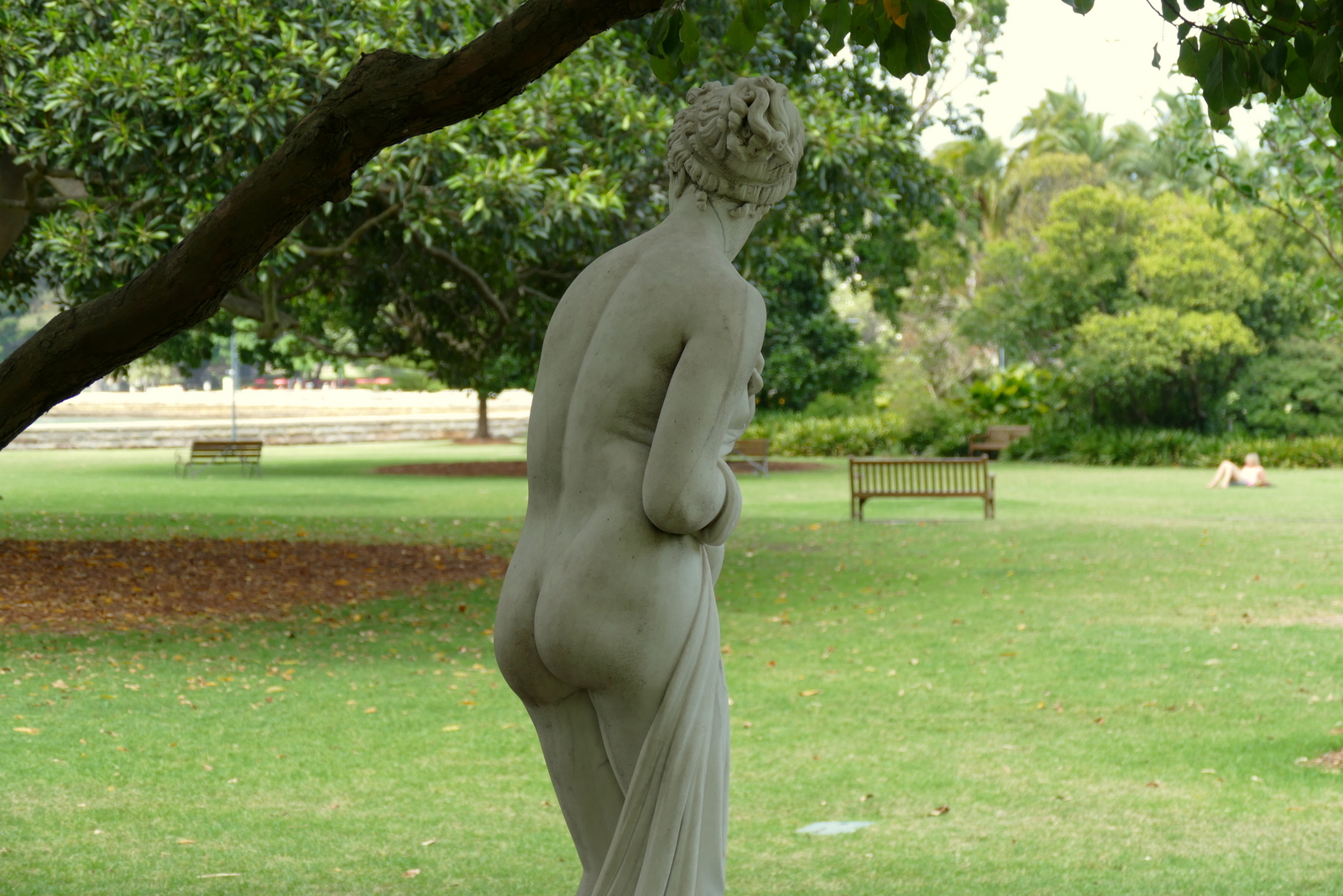 We eventually found Mrs. MacQuarie lost in the park.