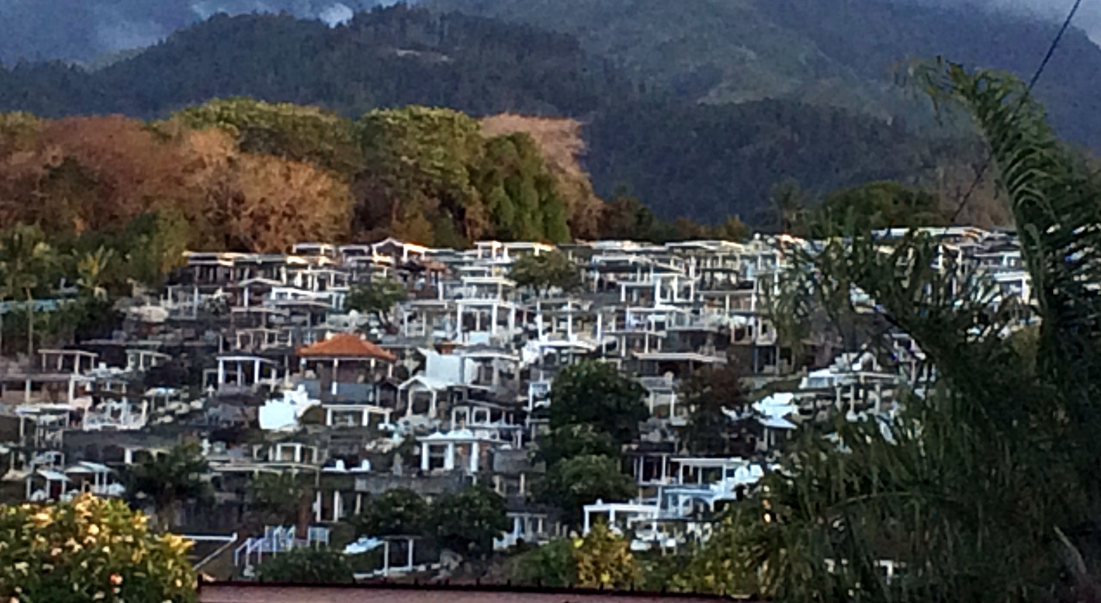 The local cemetary.