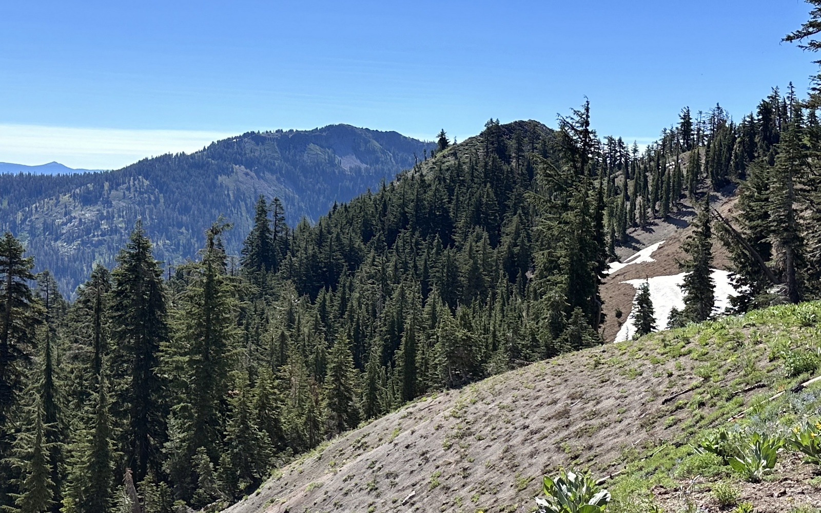 Barker Pass Peak, then Ellis Peak