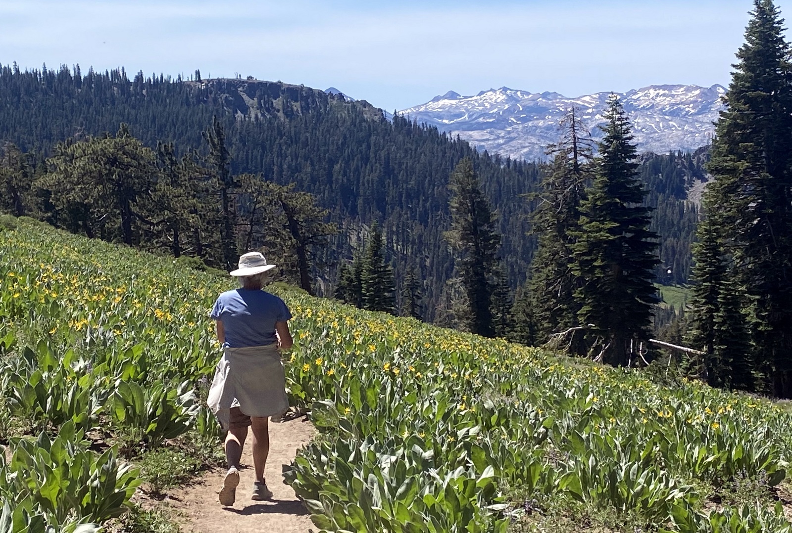 Desolation Wilderness