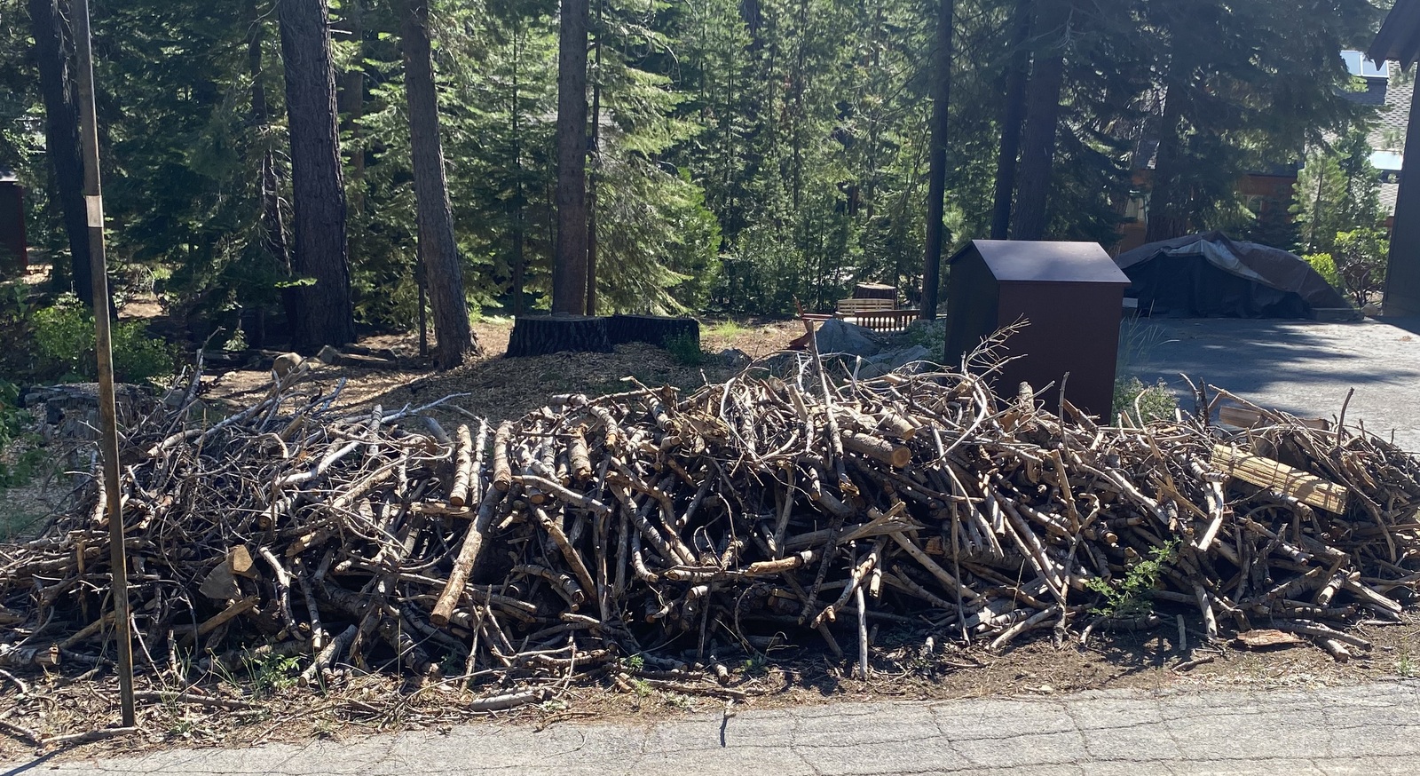 Piled up branches for chipping