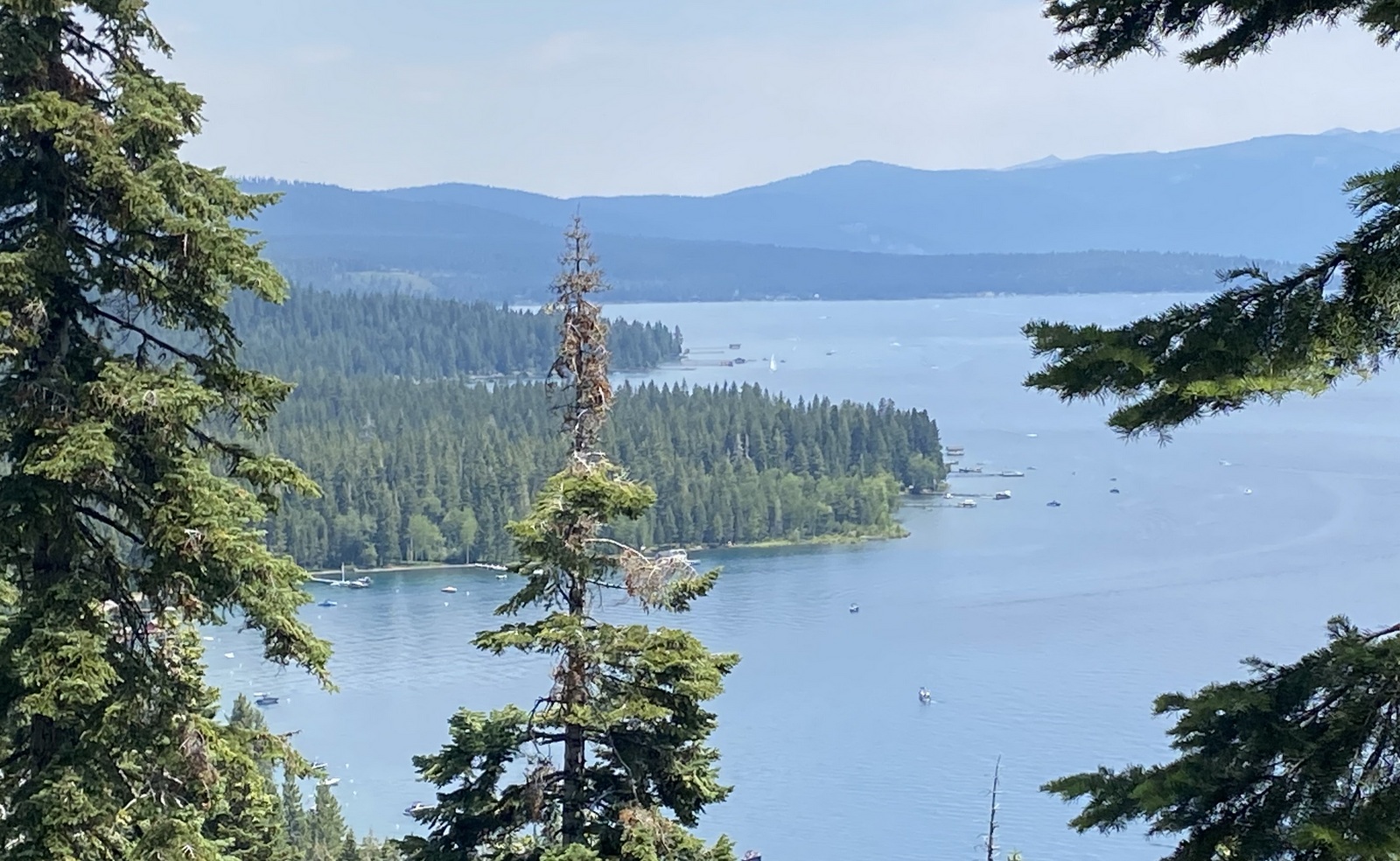 Looking North from the trail