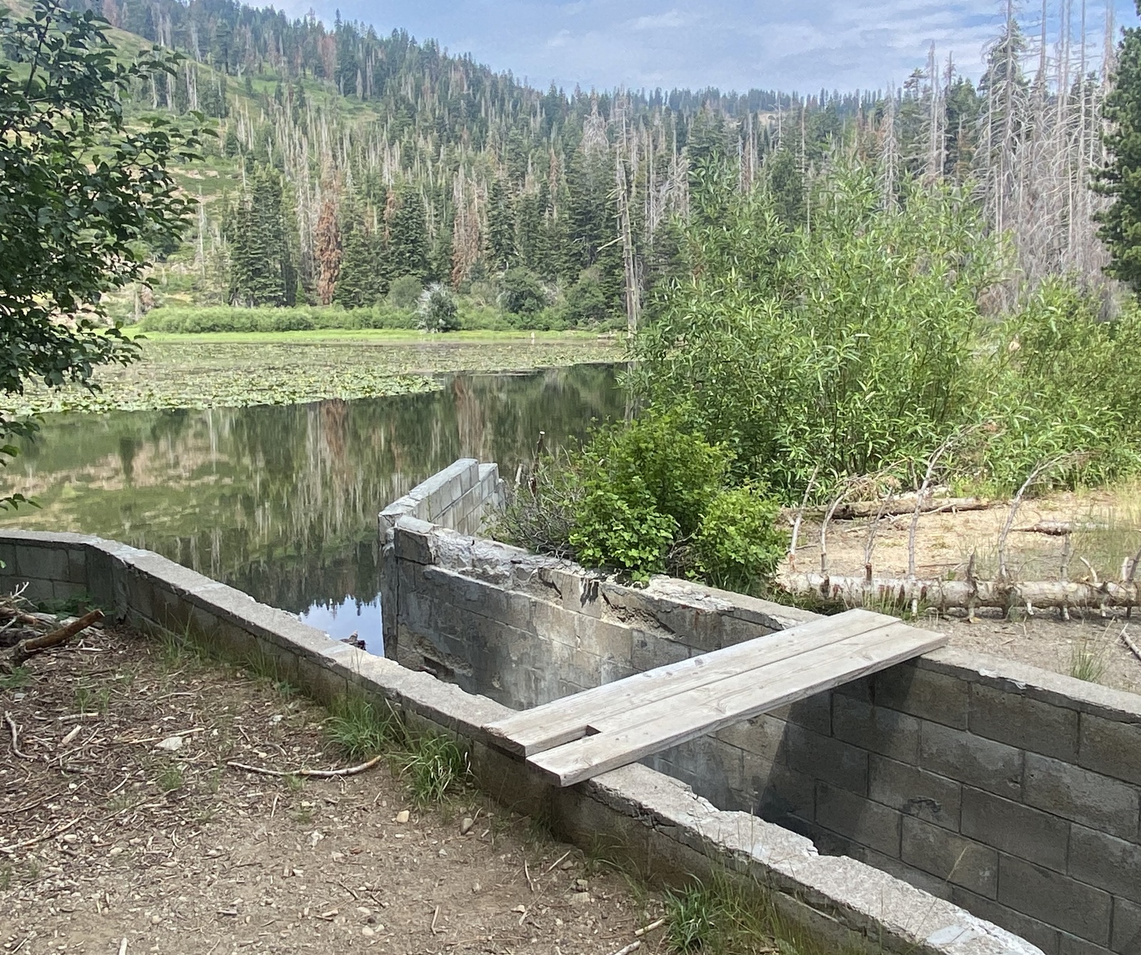 Hop over the spillway